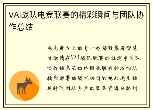 VAI战队电竞联赛的精彩瞬间与团队协作总结