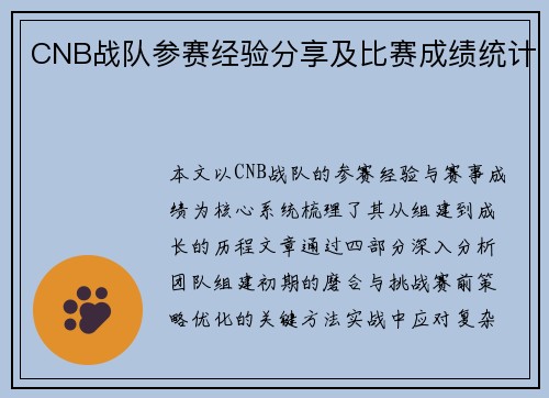 CNB战队参赛经验分享及比赛成绩统计
